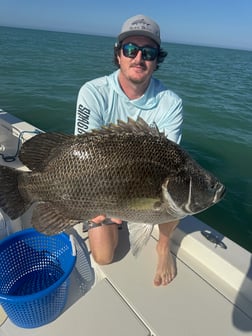 Fishing in Indian Rocks Beach, Florida