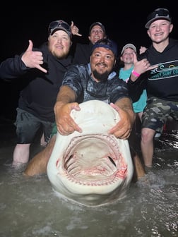 Fishing in Port Aransas, Texas