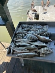 Fishing in Lake Charles, Louisiana