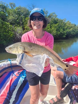 Fishing in Fort Myers Beach, Florida