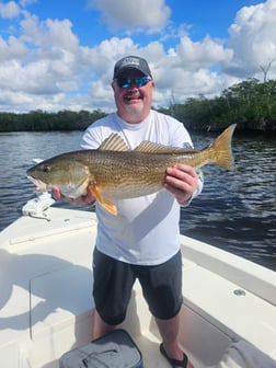 Fishing in Ochopee, Florida