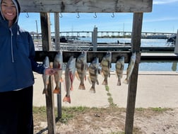 Fishing in Port Aransas, Texas