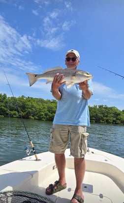 Fishing in Sarasota, Florida