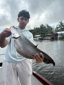 Fishing in West Palm Beach, Florida
