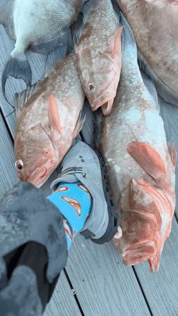 Fishing in Bokeelia, Florida