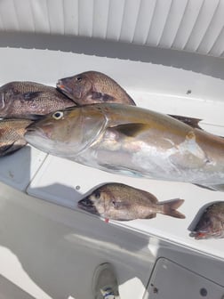 Fishing in Wrightsville Beach, North Carolina