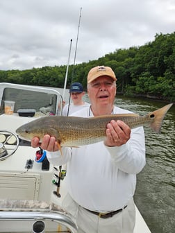Fishing in Ochopee, Florida