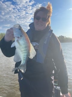 Fishing in Dardanelle, Arkansas