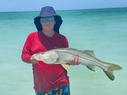 Fishing in Sarasota, Florida