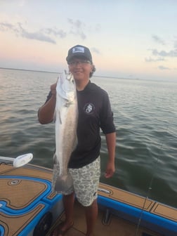 Fishing in Corpus Christi, Texas