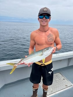 Fishing in Marina del Rey, California