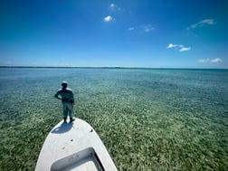 Fishing in Tavernier, Florida