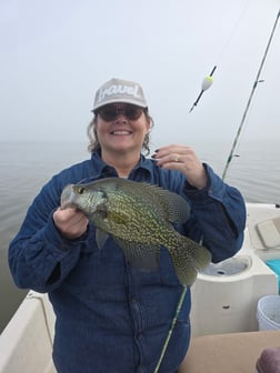 Fishing in Lake Panasoffkee, Florida