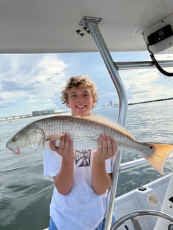 Fishing in Orange Beach, Alabama