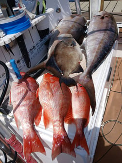 Fishing in Gulf Breeze, Florida