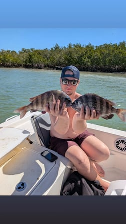 Fishing in Edgewater, Florida