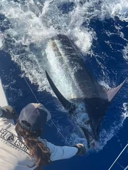 Fishing in Kailua-Kona, Hawaii