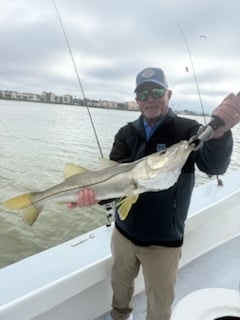 Snook Fishing in Bradenton, Florida