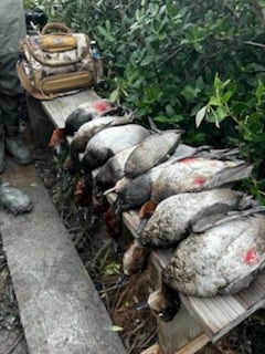 Hunting in Port O'Connor, Texas