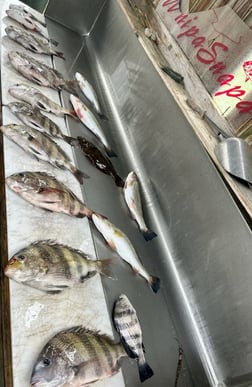 Fishing in D'Iberville, Mississippi