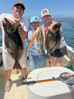 Fishing in San Diego, California