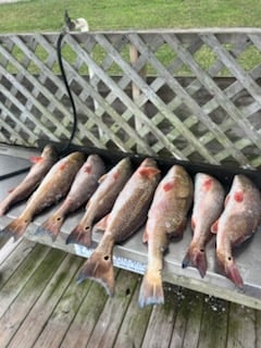 Fishing in South Padre Island, Texas