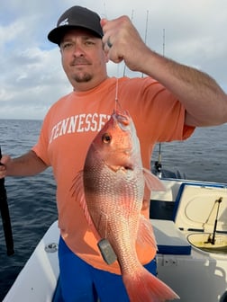 Fishing in Destin, Florida