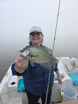 Fishing in Lake Panasoffkee, Florida