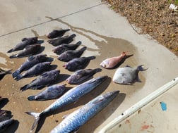 Fishing in Wrightsville Beach, North Carolina