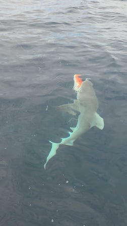 Fishing in Jacksonville, Florida