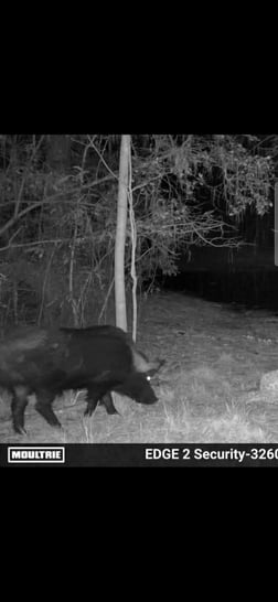 Hunting in Crestview, Florida