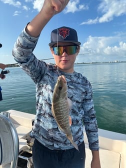 Fishing in Sarasota, Florida
