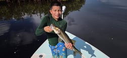 Fishing in Naples, Florida