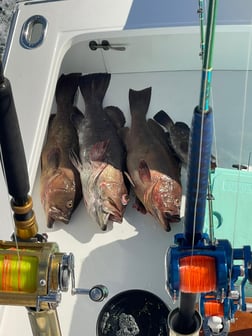 Fishing in Quepos, Costa Rica