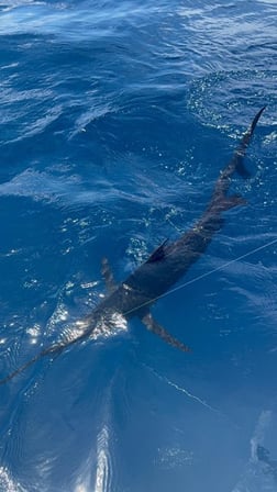 Fishing in Quepos, Costa Rica