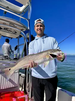 Fishing in Sarasota, Florida