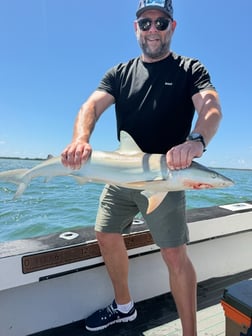 Fishing in St. Petersburg, Florida