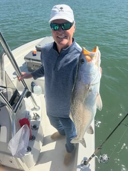 Fishing in Indian Rocks Beach, Florida