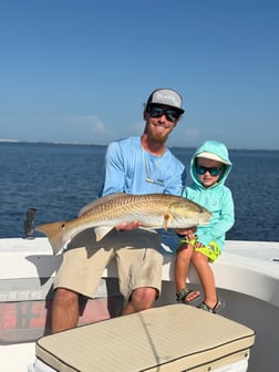 Fishing in Matlacha, Florida
