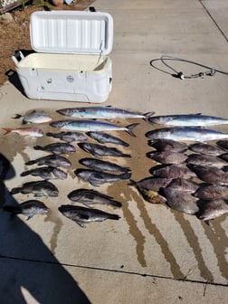 Fishing in Wrightsville Beach, North Carolina