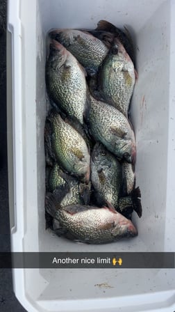 Fishing in Clewiston, Florida