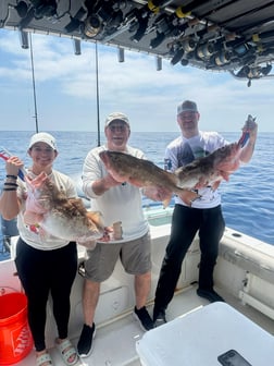 Fishing in Bokeelia, Florida