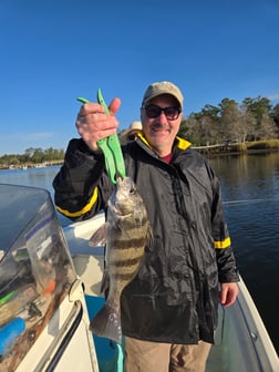 Fishing in Crawfordville, Florida