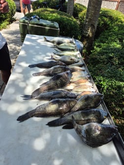 Fishing in St. Marys, Georgia