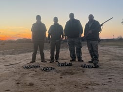 Hunting in Rising Star, Texas