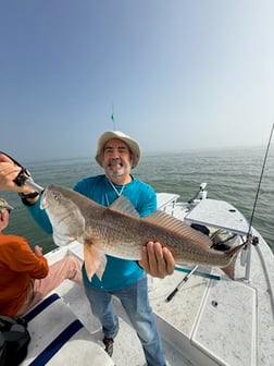 Fishing in South Padre Island, Texas