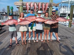 Fishing in Orange Beach, Alabama
