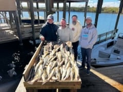 Fishing in New Orleans, Louisiana