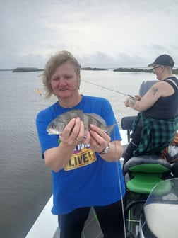 Fishing in Lafitte, Louisiana