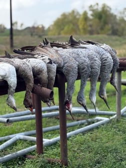 Hunting in Garwood, Texas